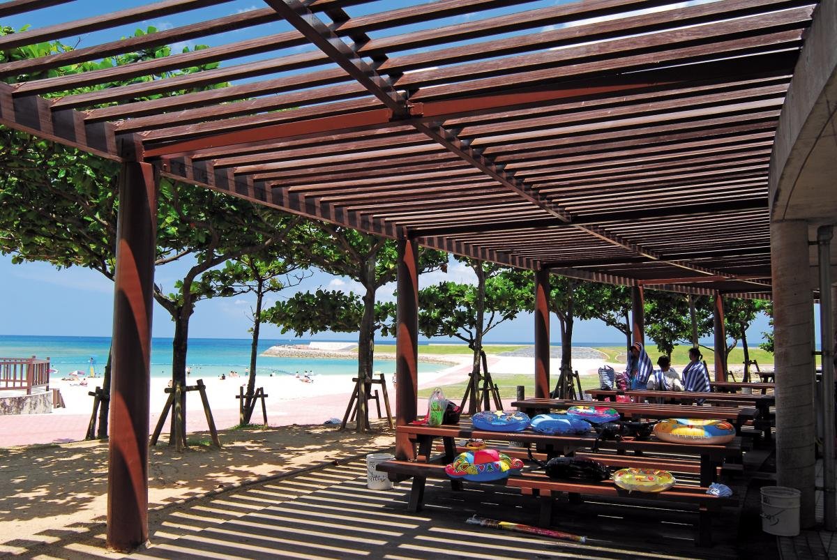 🏖️ 트로피컬 비치 이미지 4